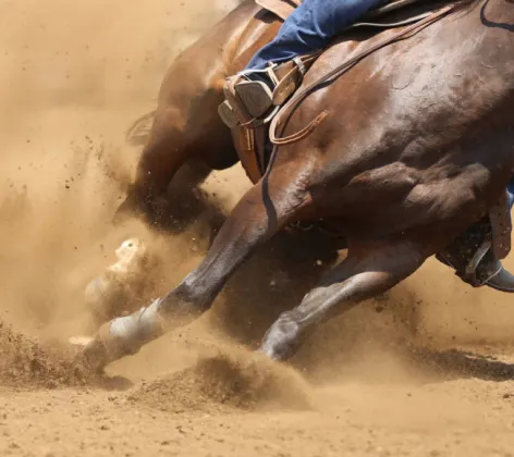 Horse running at an angle through soft dirt of arena